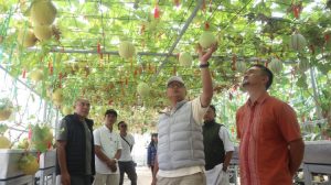 Greenhouse BUMDes Mustika Jaya Desa Kasturi Kecamatan Kuningan. (Foto: dok. ikp/k1)