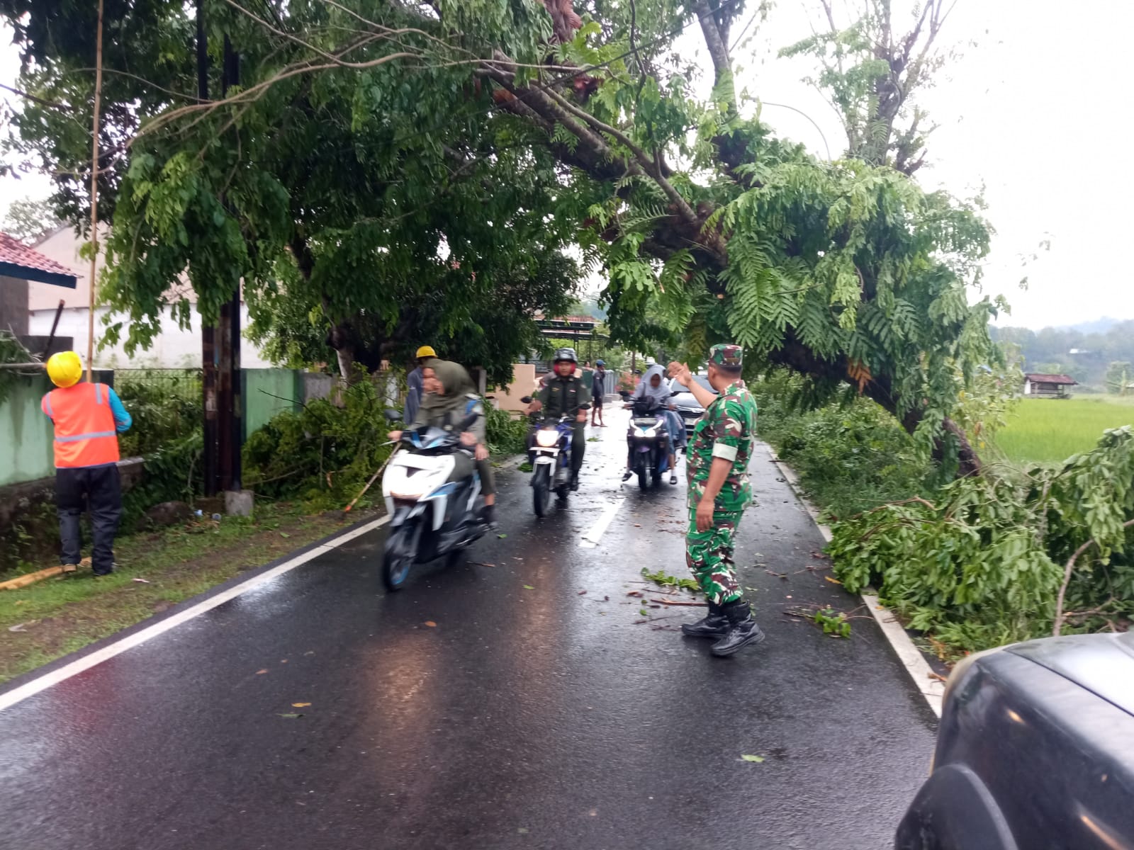 Pohon tumbang di Kecamatan Ciwaru setelah hujan deras mengguyur. (Foto: dok. babinsa)