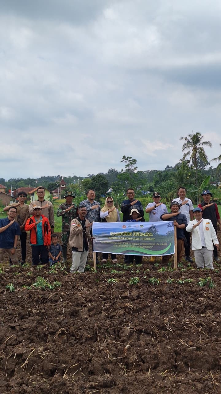 Rayakan Milad Muhammadiyah ke-113, PDPM Kuningan Dorong Ketahanan Pangan lewat Penanaman Ubi Cilembu (foto :dok. PDPM/tohirin)