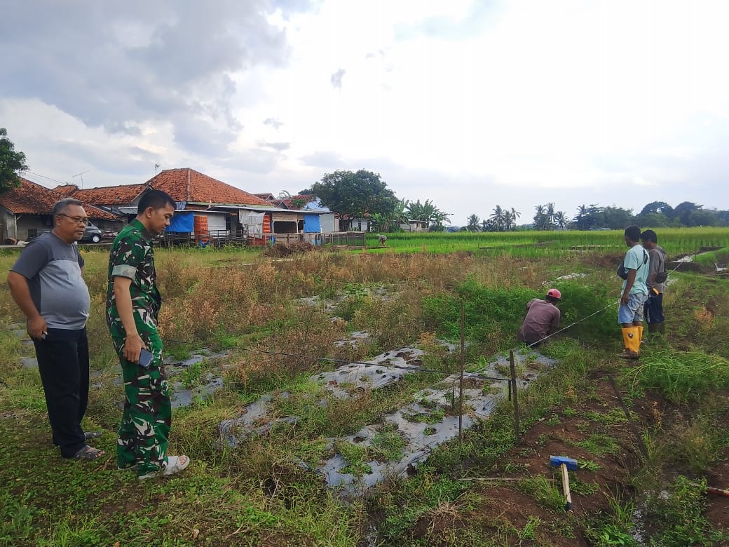 Pembangunan Gerai Koperasi Desa Merah Putih (KDMP) Pajawanlor, Kecamatan Ciawigebang, Kabupaten Kuningan. (Foto: dok. ist/k1)
