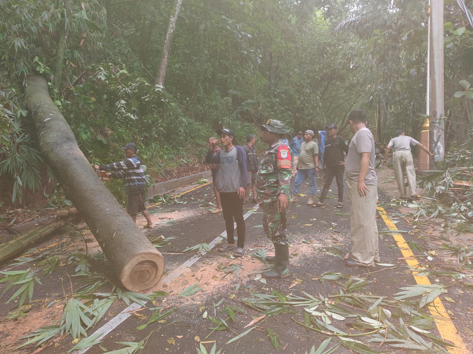 Pohon tumbang akibat hujan deras dan angin kencang menutup Jalan Kiara Domba di Desa Cileuya, Kecamatan Cimahi, Kabupaten Kuningan. (foto:dok. kodim/tohirin)
