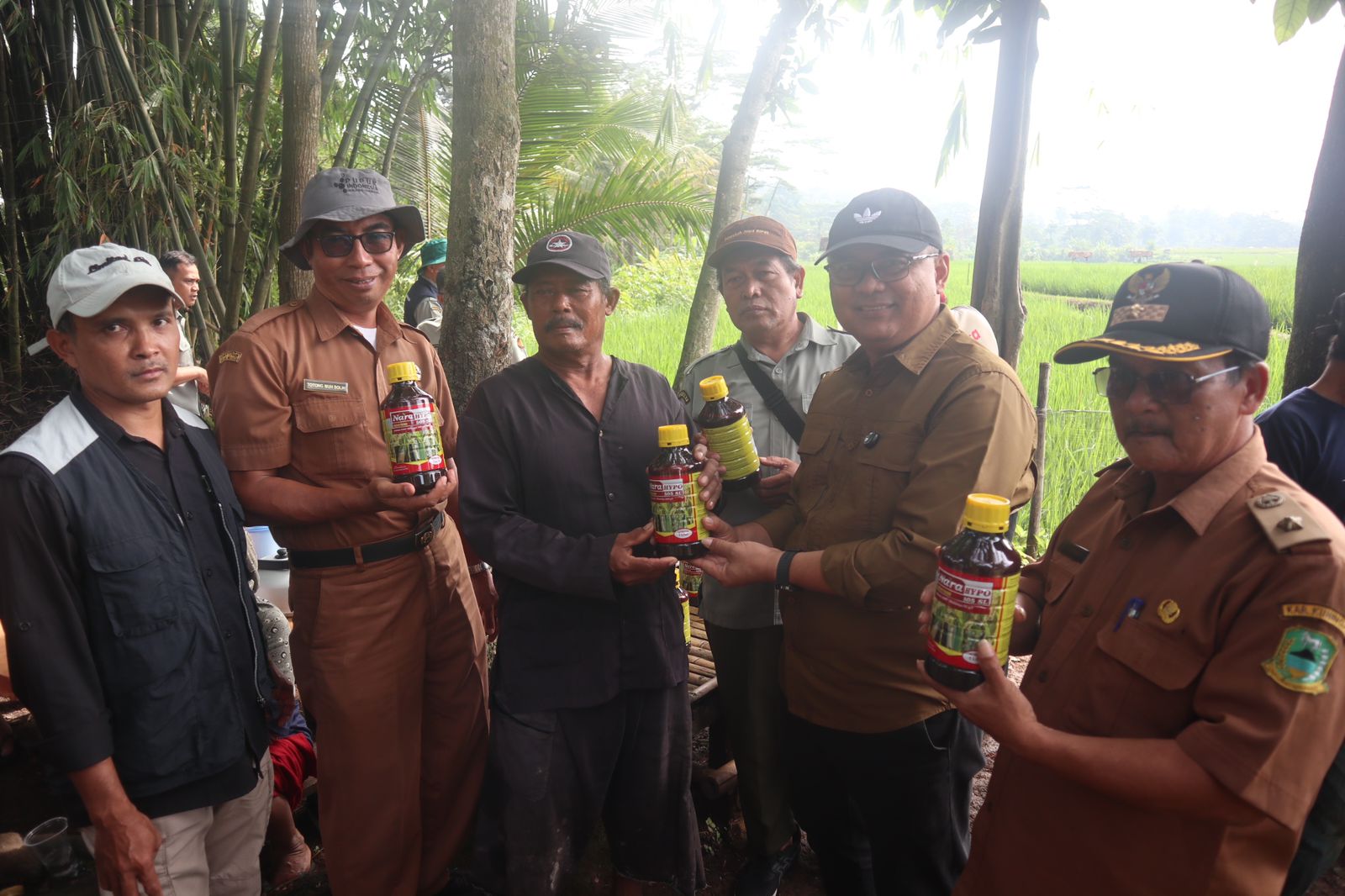 Kepala Diskatan Kuningan Wahyu Hidayah memantau pelaksanaan Gerdal OPT padi bersama petani di Desa Balong Kecamatan Sindangagung (foto:dok. ist/tohirin)