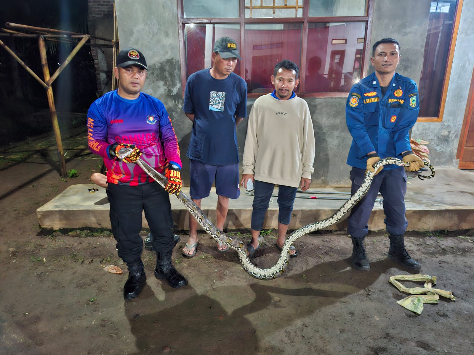 Petugas damkar berhasil meng evakuasi ular Sanca (foto:dok. ist/tohirin)