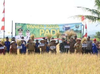 Panen raya padi 2026 (foto:dok. ist/tohirin)