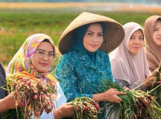 Ketua TP PKK Kuningan saat panen bawang merah di Desa Cilimus (foto:dok pemda)