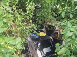 Petani mengoperasikan teknologi pertanian berbasis kecerdasan buatan (AI) yang dikembangkan IPB University bersama Pemerintah Kabupaten Kuningan. Inovasi AI-TRAC memungkinkan traktor dikendalikan dari jarak jauh, sementara ANTRAC membantu mendeteksi penyakit tanaman secara dini untuk mendukung pertanian modern dan presisi. (Foto: dok. diskatan)