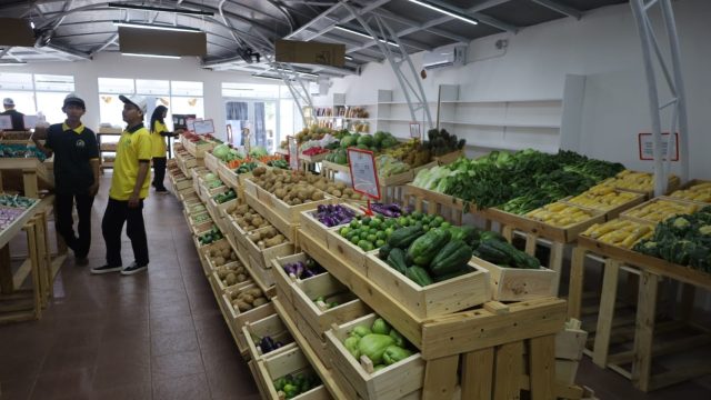 Rumah sayur Kuningan (foto:dok ist/tohirin)