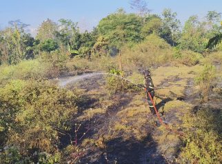 Kebakaran lahan di kecamatan sindang agung (foto:dok ist/tohirin)