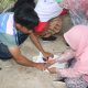 Mahasiswa KKNT Inovasi IPB mendampingi siswa kelas V SDN Salakadomas, Kecamatan Mandirancan, Kuningan, saat membuat ecoprint dan cap tangan. Kegiatan bertajuk “Dear Future Me: Growing Memories, Leaving Footprints” ini menjadi ruang bagi siswa untuk berkreasi sekaligus meninggalkan kenangan manis bersama mahasiswa KKNT IPB. (Dok. Ist)