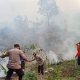 Kobaran api melalap kawasan TNGC di Blok Cirendang, jalur Tespong, Desa Padabeunghar, Kecamatan Pasawahan, Kuningan. Kebakaran menghanguskan lebih dari 20 hektare lahan. (Dok. Ist)