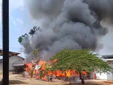 Kebakaran di peternakan ayam di desa cikandang kuningan (foto:dok ist/tohirin)